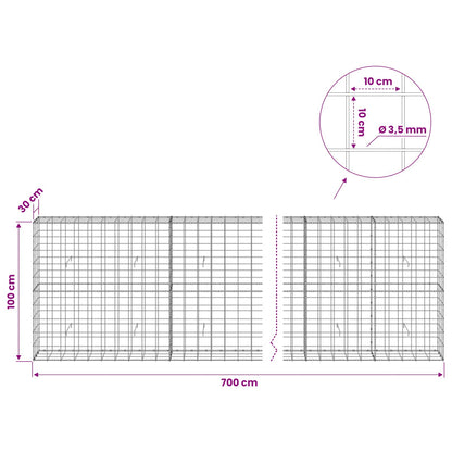 Gabion with 3.5 mm Wire and 10x10 cm Mesh 700x30x100 cm