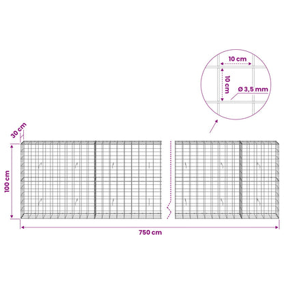 Gabion with 3.5 mm Wire and 10x10 cm Mesh 750x30x100 cm