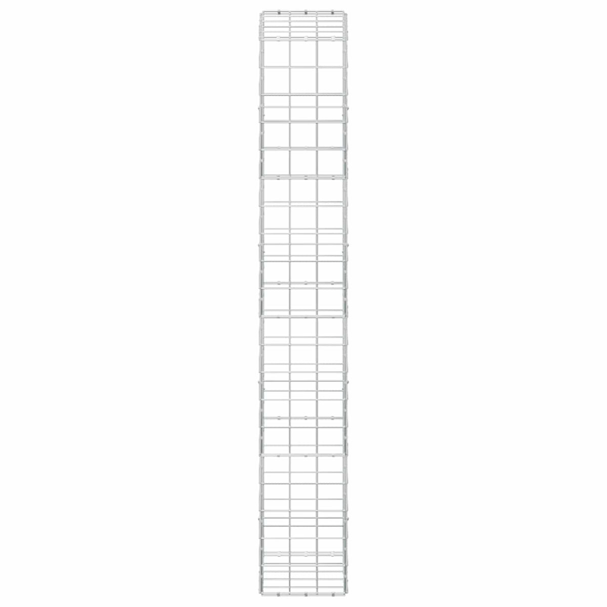 Gabion with 3.5 mm Wire and 10x10 cm Mesh 50x30x200 cm