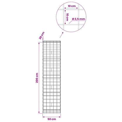 Gabion with 3.5 mm Wire and 10x10 cm Mesh 50x30x200 cm