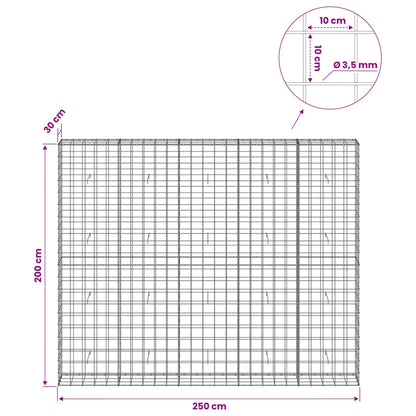 Gabion with 3.5 mm Wire and 10x10 cm Mesh 250x30x200 cm
