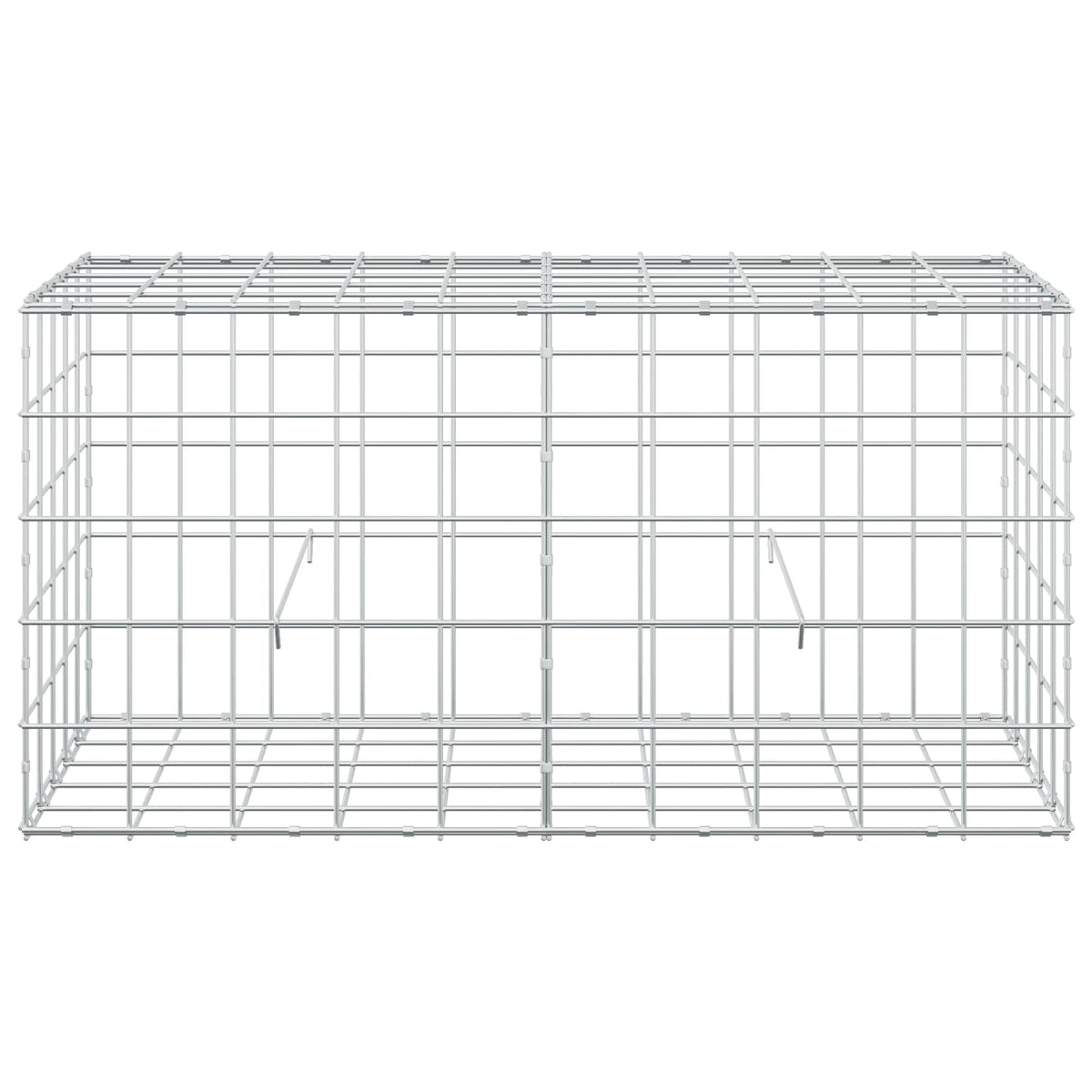Gabion with 3.5 mm Wire and 10x10 cm Mesh 100x50x50 cm