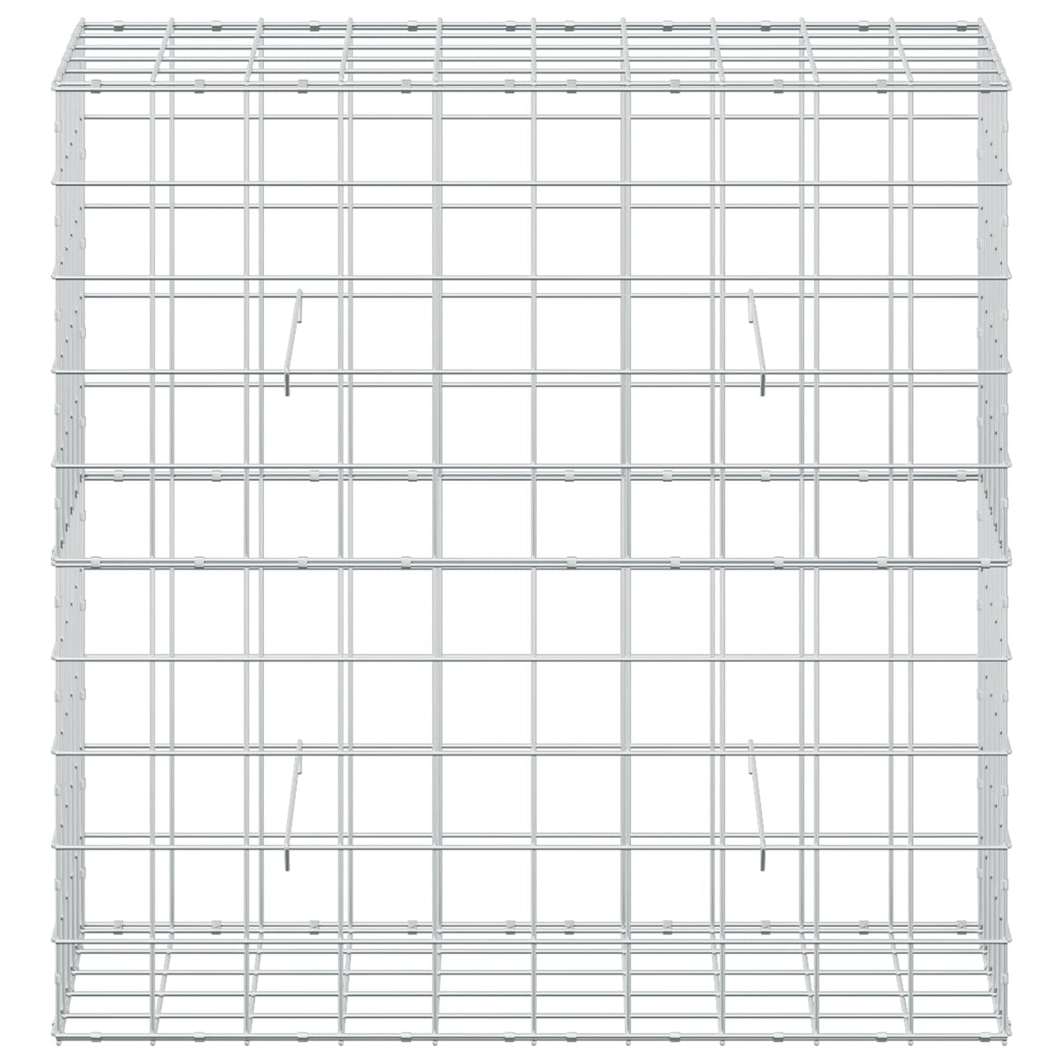 Gabion with 3.5 mm Wire and 10x10 cm Mesh 100x50x100 cm
