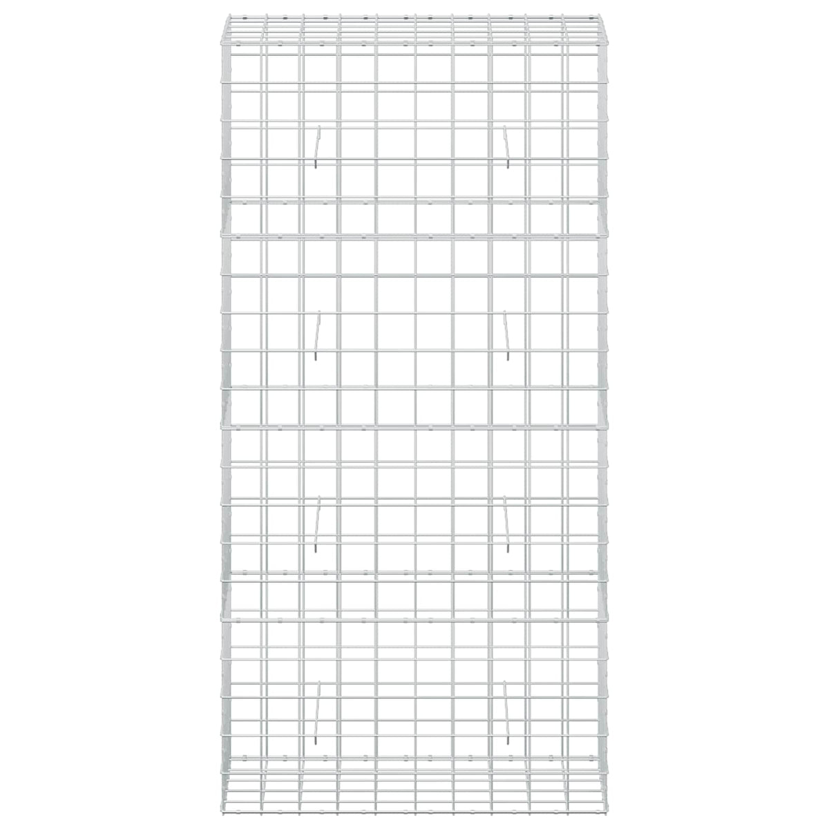 Gabion with 3.5 mm Wire and 10x10 cm Mesh 100x50x200 cm