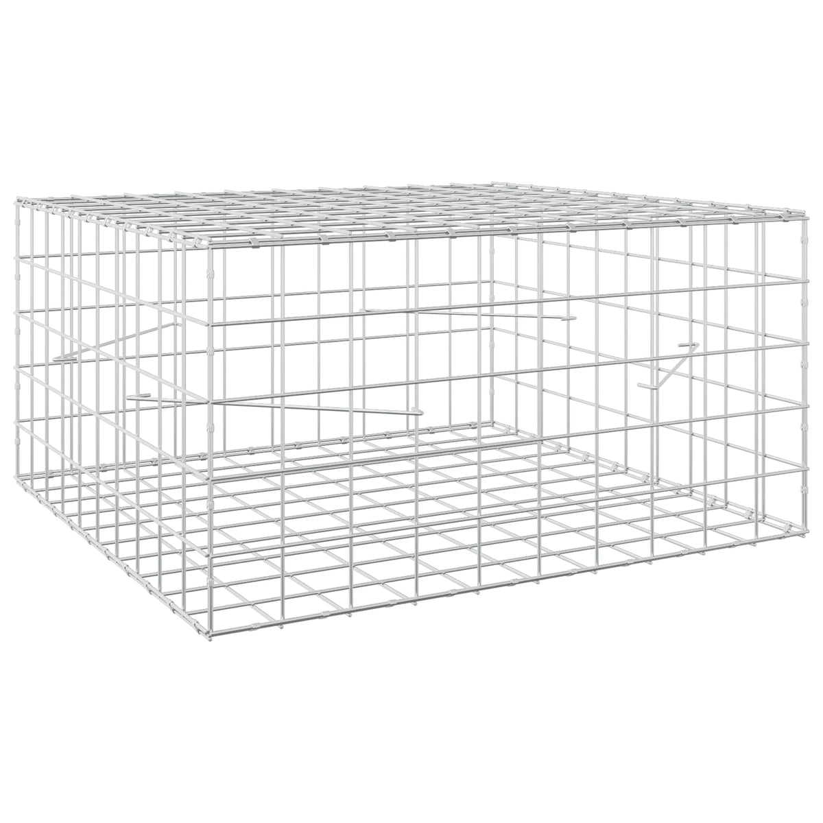 Gabion with 3.5 mm Wire and 10x10 cm Mesh 100x100x50 cm