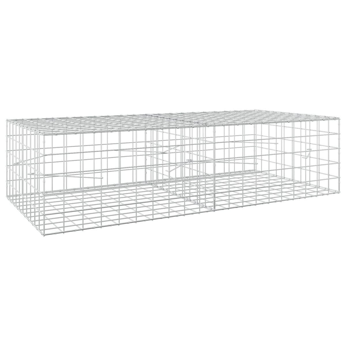Gabion with 3.5 mm Wire and 10x10 cm Mesh 200x100x50 cm
