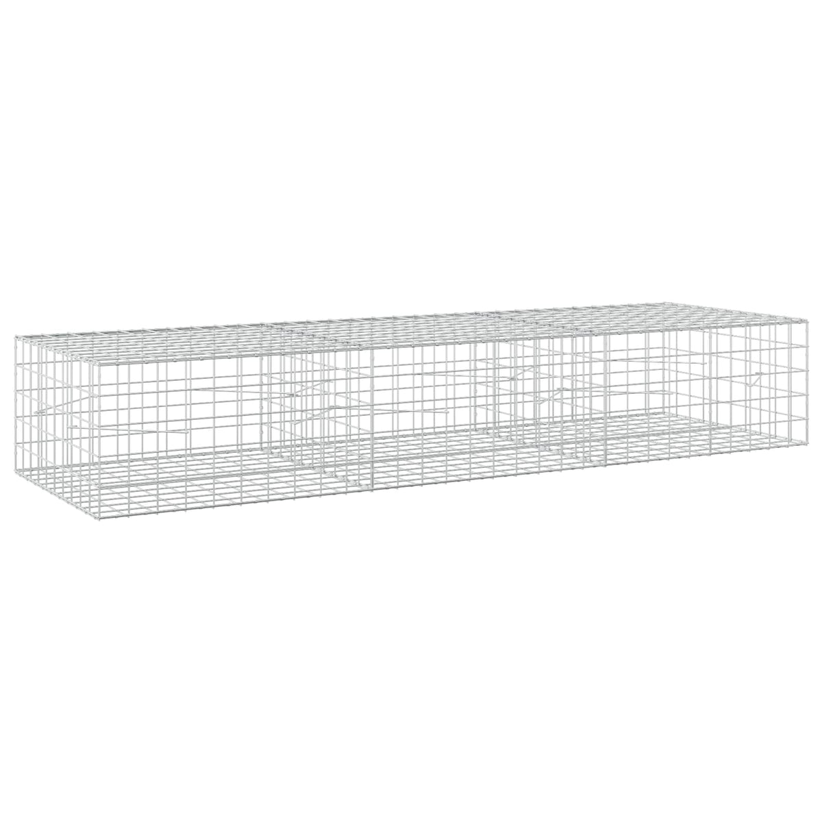 Gabion with 3.5 mm Wire and 10x10 cm Mesh 300x100x50 cm
