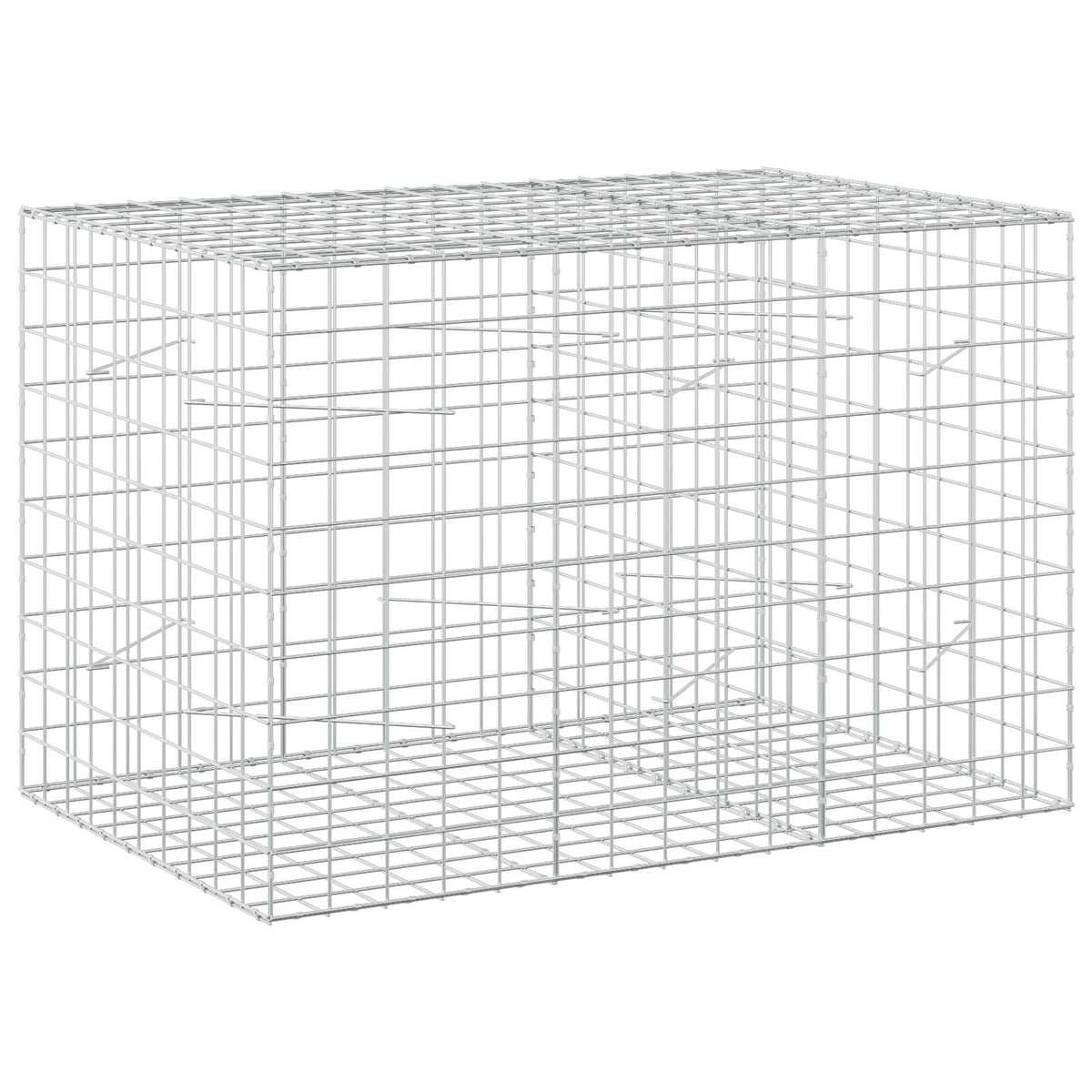 Gabion with 3.5 mm Wire and 10x10 cm Mesh 150x100x100 cm