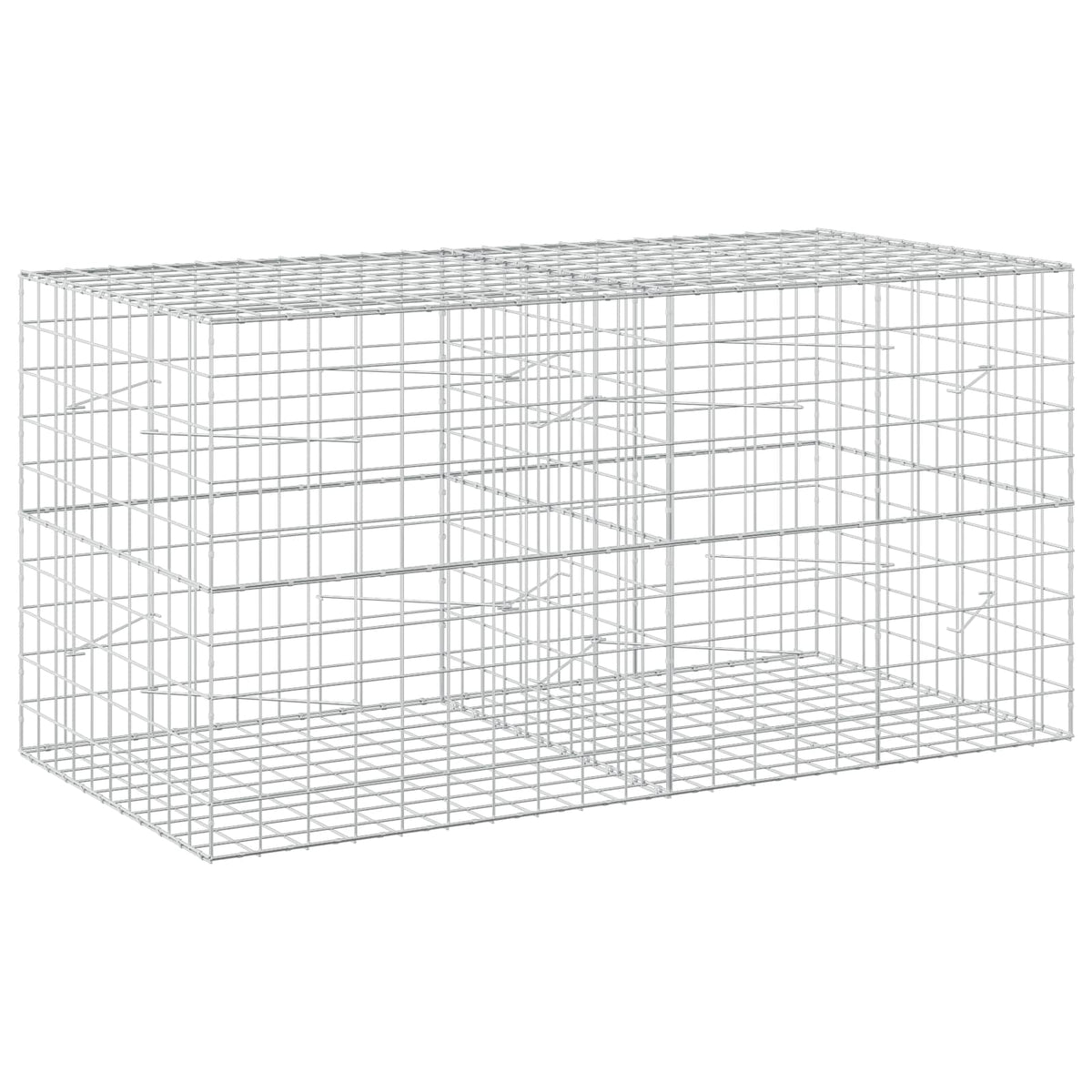 Gabion with 3.5 mm Wire and 10x10 cm Mesh 200x100x100 cm
