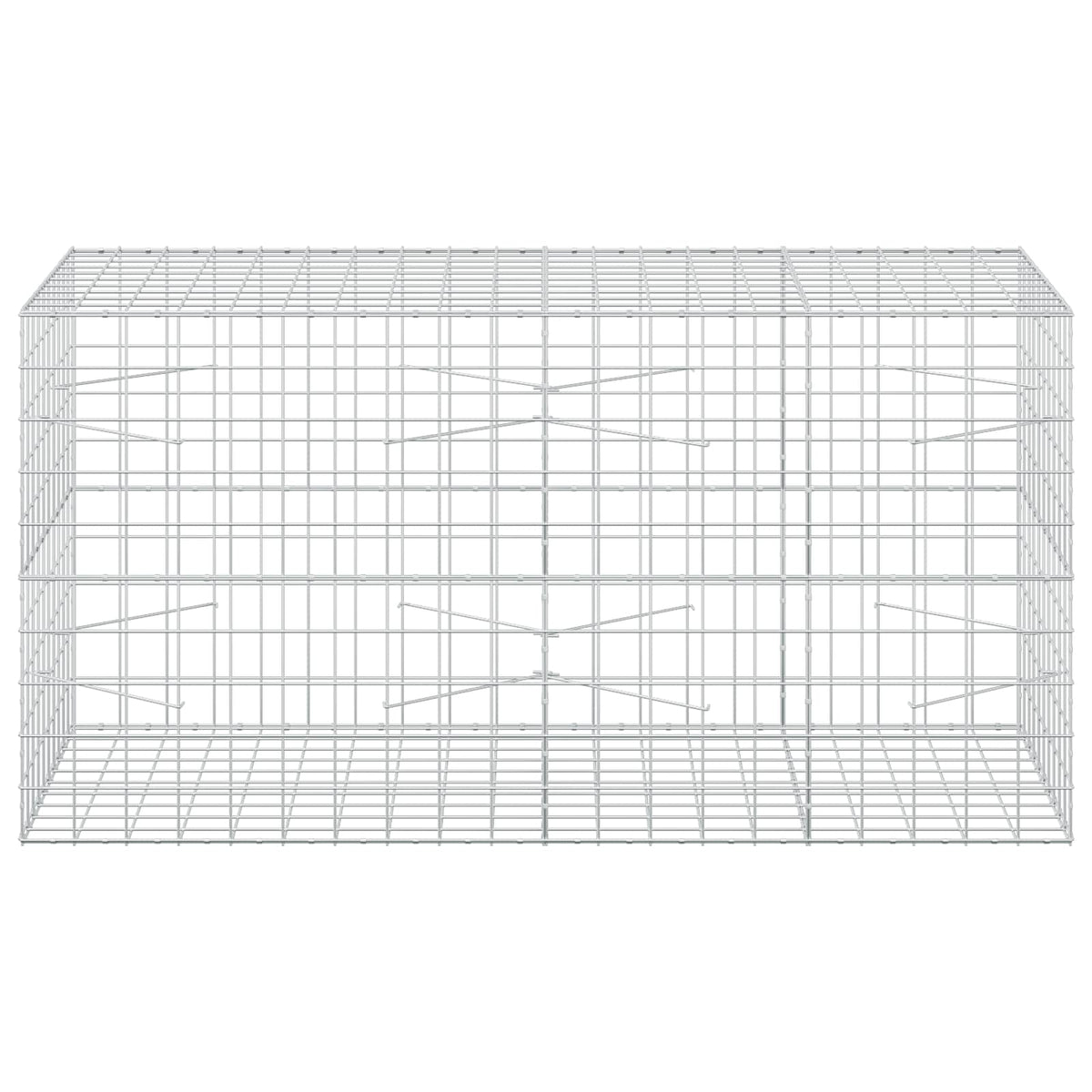 Gabion with 3.5 mm Wire and 10x10 cm Mesh 200x100x100 cm