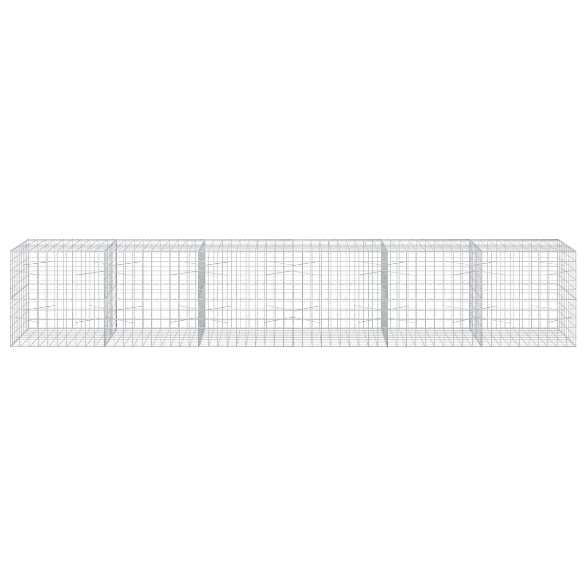 Gabion with 3.5 mm Wire and 10x10 cm Mesh 600x100x100 cm