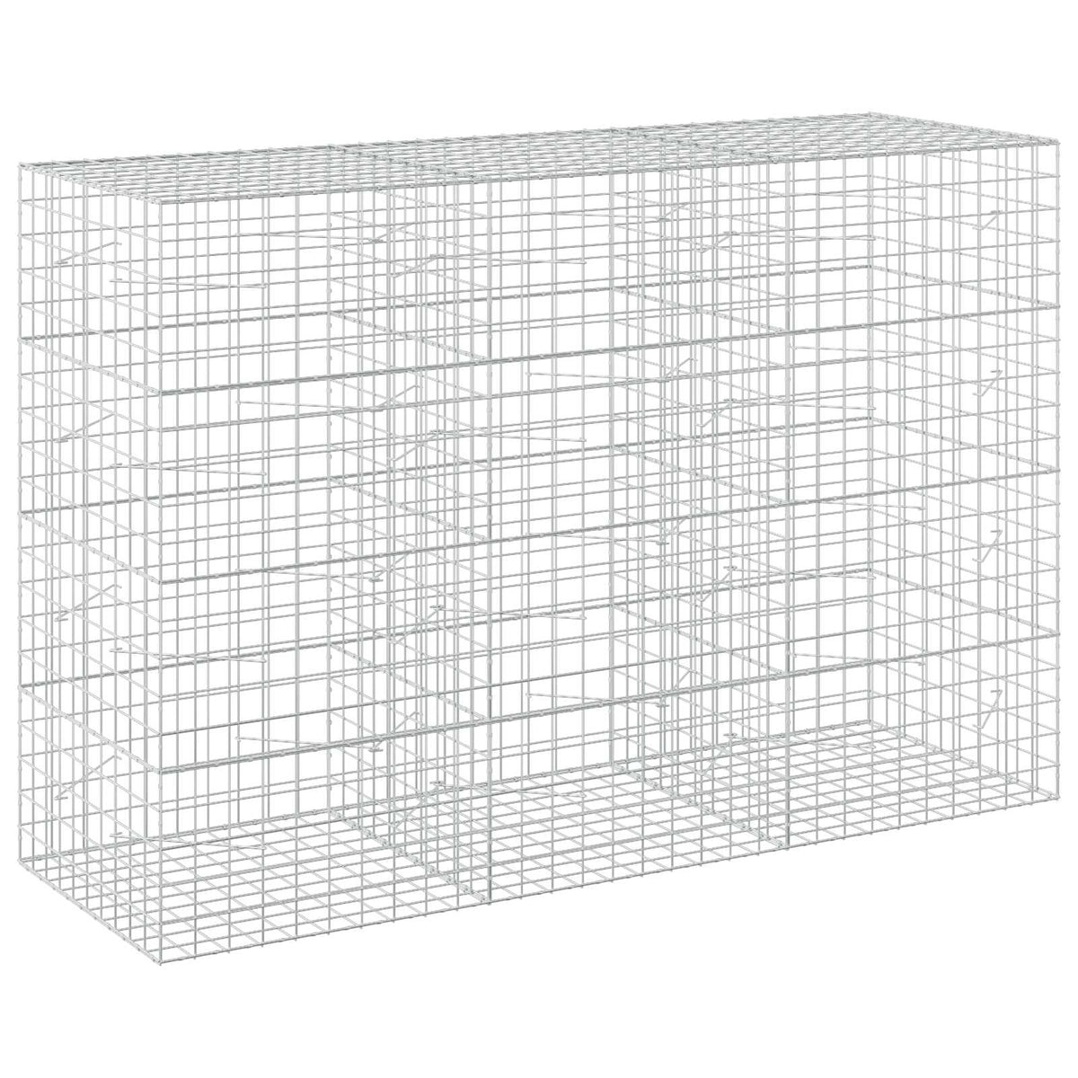 Gabion with 3.5 mm Wire and 10x10 cm Mesh 300x100x200 cm