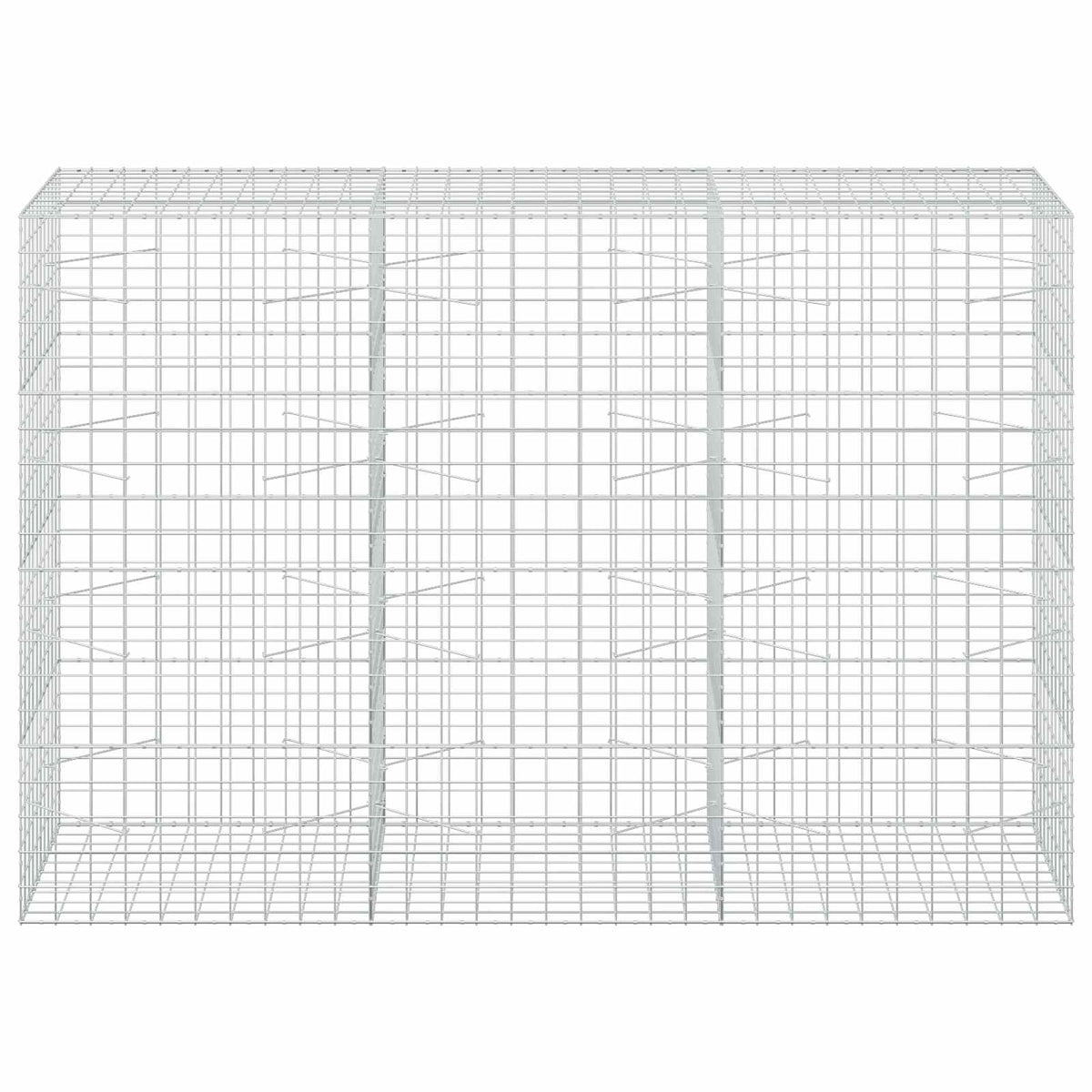 Gabion with 3.5 mm Wire and 10x10 cm Mesh 300x100x200 cm