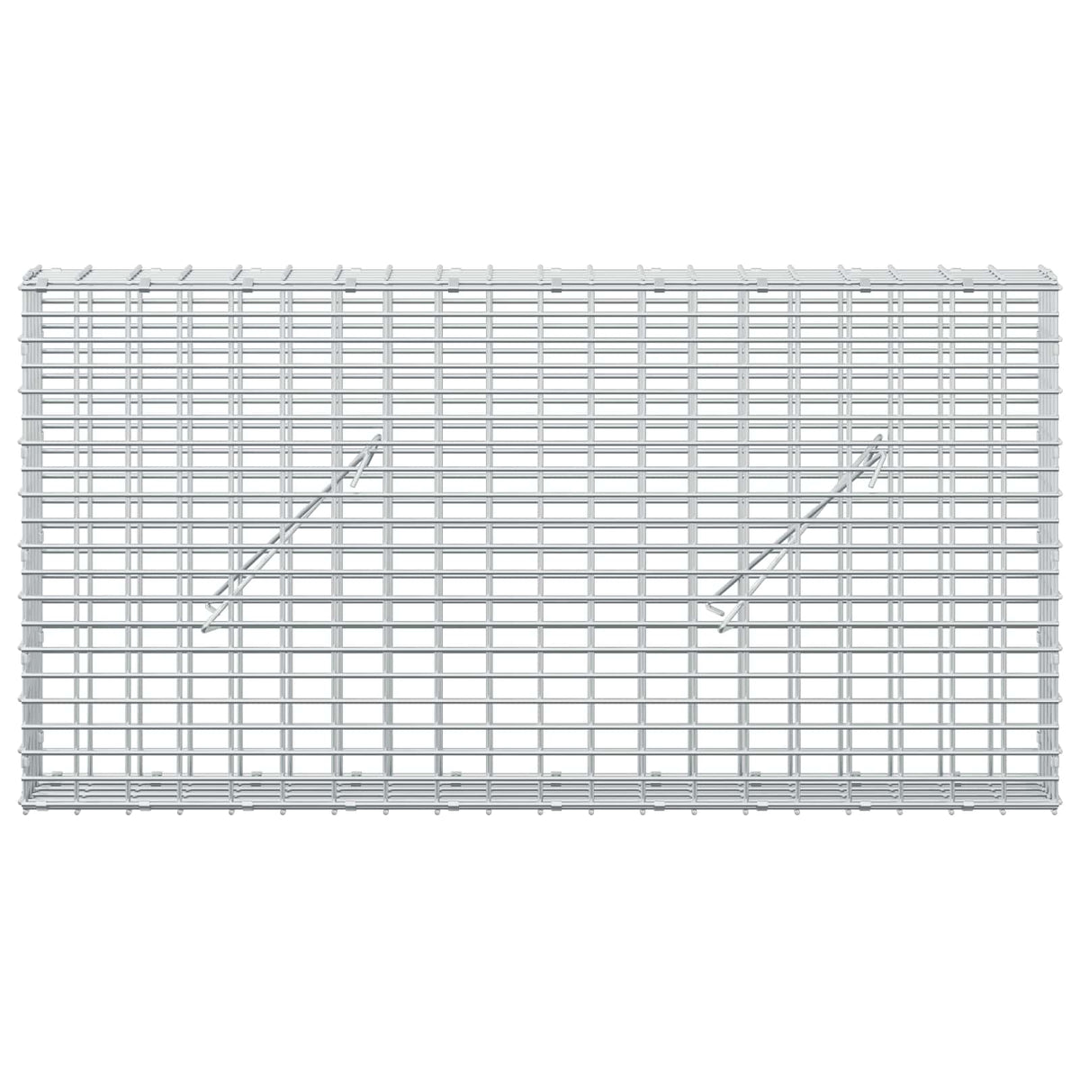 Gabion with 5 mm Wire and 5x2.5 cm Mesh 100x10x50 cm