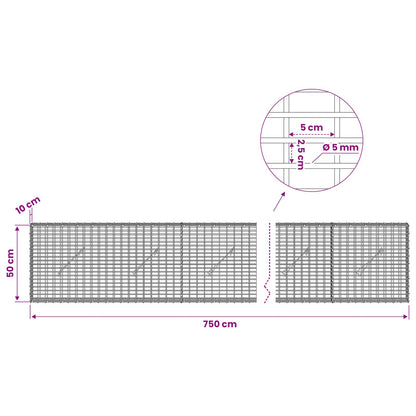 Gabion with 5 mm Wire and 5x2.5 cm Mesh 750x10x50 cm
