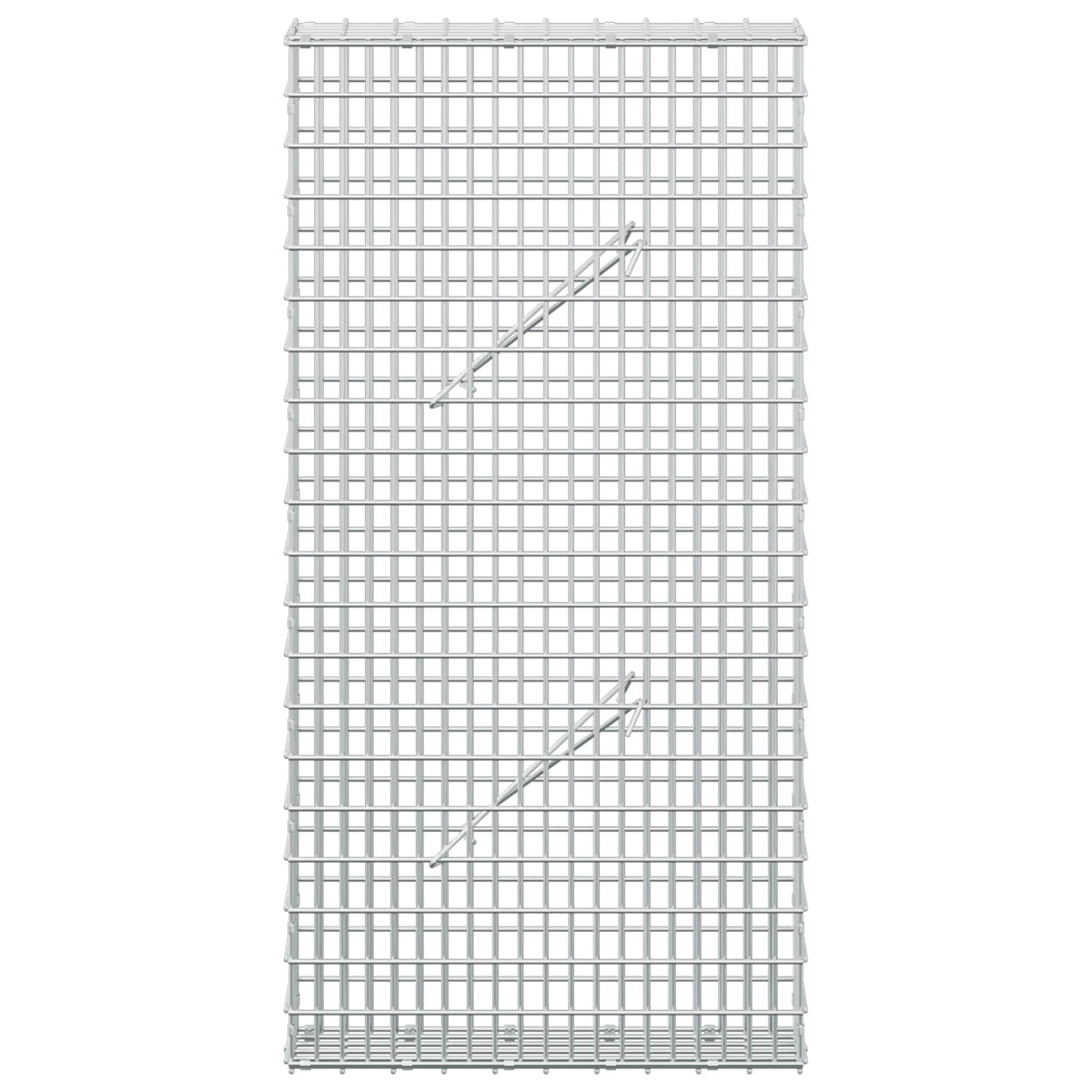 Gabion with 5 mm Wire and 5x2.5 cm Mesh 50x10x100 cm