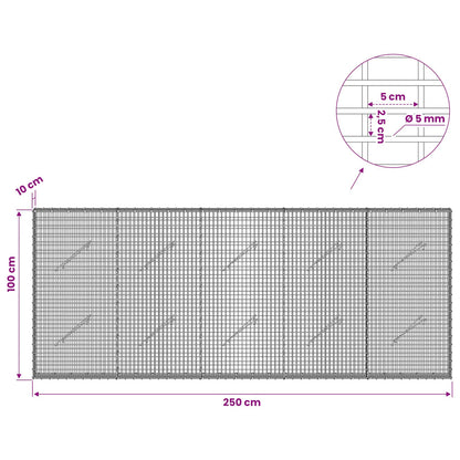 Gabion with 5 mm Wire and 5x2.5 cm Mesh 250x10x100 cm