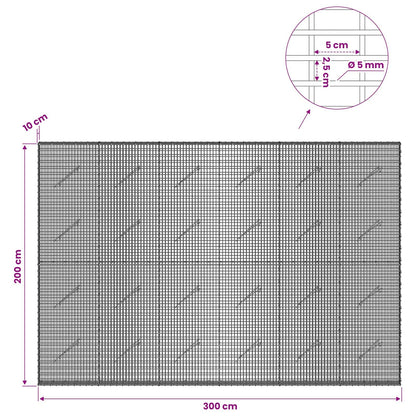 Gabion with 5 mm Wire and 5x2.5 cm Mesh 300x10x200 cm