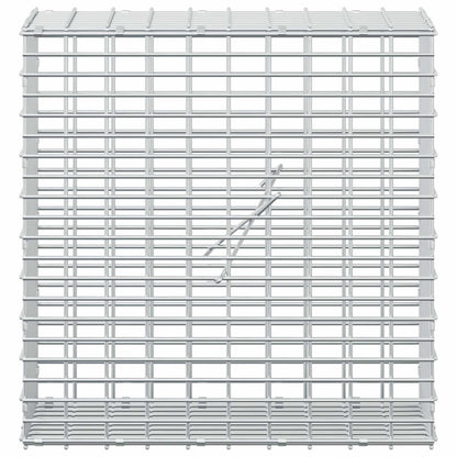 Gabion with 5 mm Wire and 5x2.5 cm Mesh 50x20x50 cm