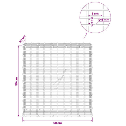 Gabion with 5 mm Wire and 5x2.5 cm Mesh 50x20x50 cm