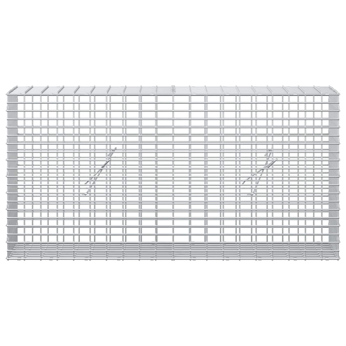 Gabion with 5 mm Wire and 5x2.5 cm Mesh 100x20x50 cm