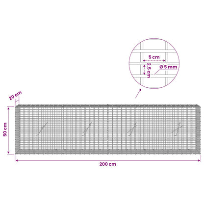 Gabion with 5 mm Wire and 5x2.5 cm Mesh 200x20x50 cm