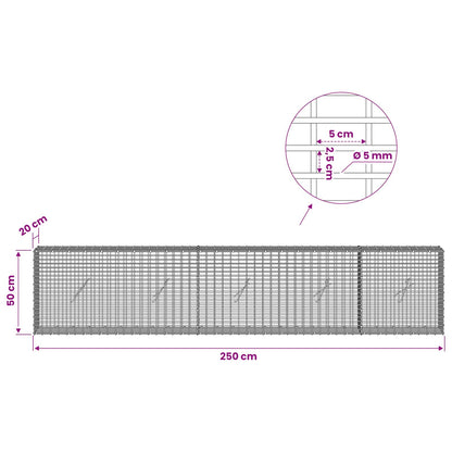 Gabion with 5 mm Wire and 5x2.5 cm Mesh 250x20x50 cm