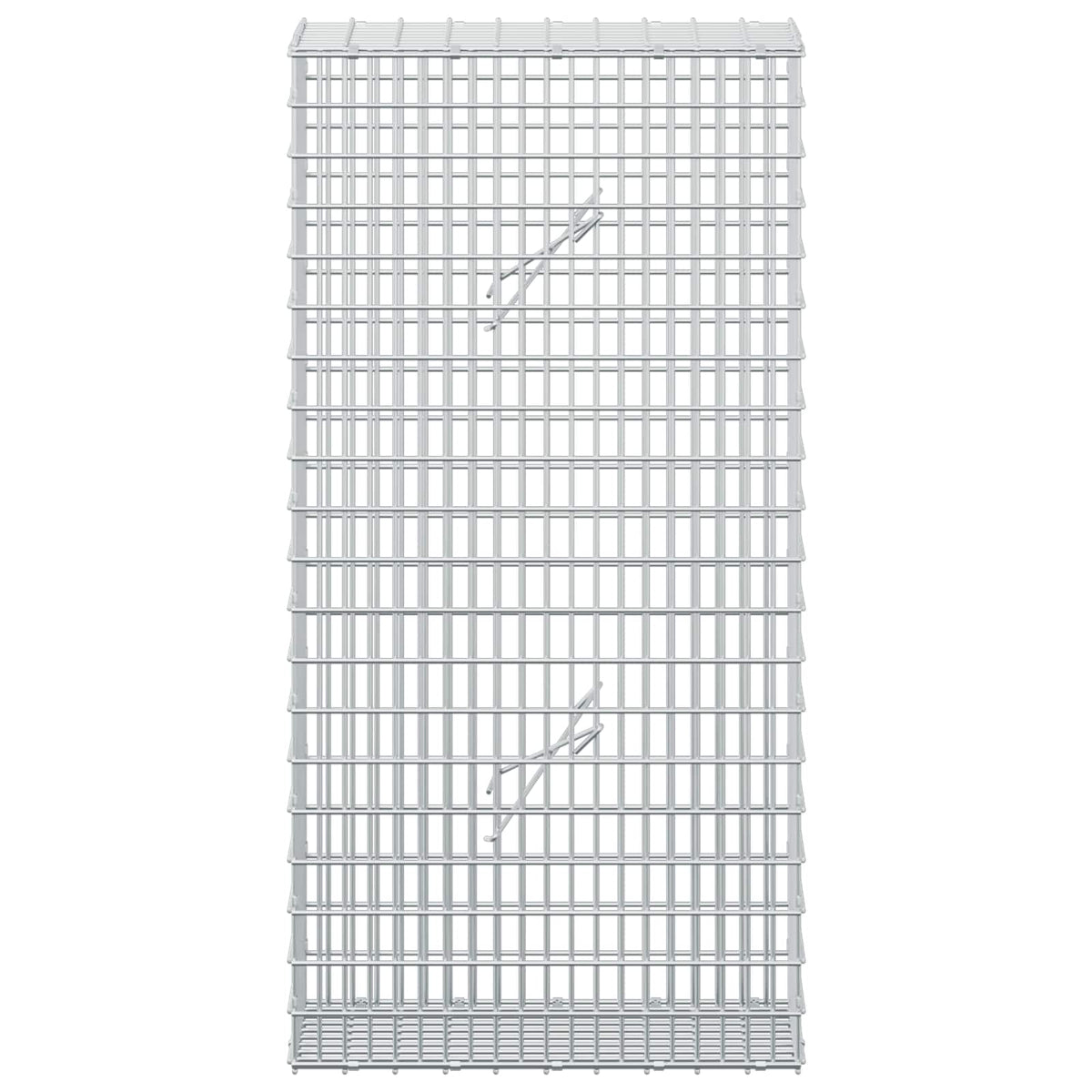 Gabion with 5 mm Wire and 5x2.5 cm Mesh 50x20x100 cm