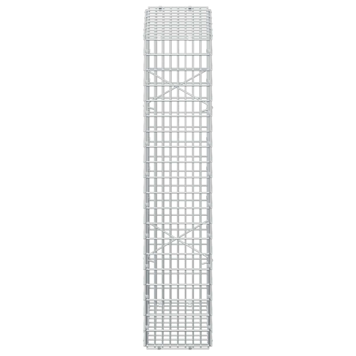 Gabion with 5 mm Wire and 5x2.5 cm Mesh 50x20x100 cm
