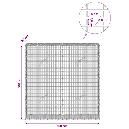 Gabion with 5 mm Wire and 5x2.5 cm Mesh 100x20x100 cm