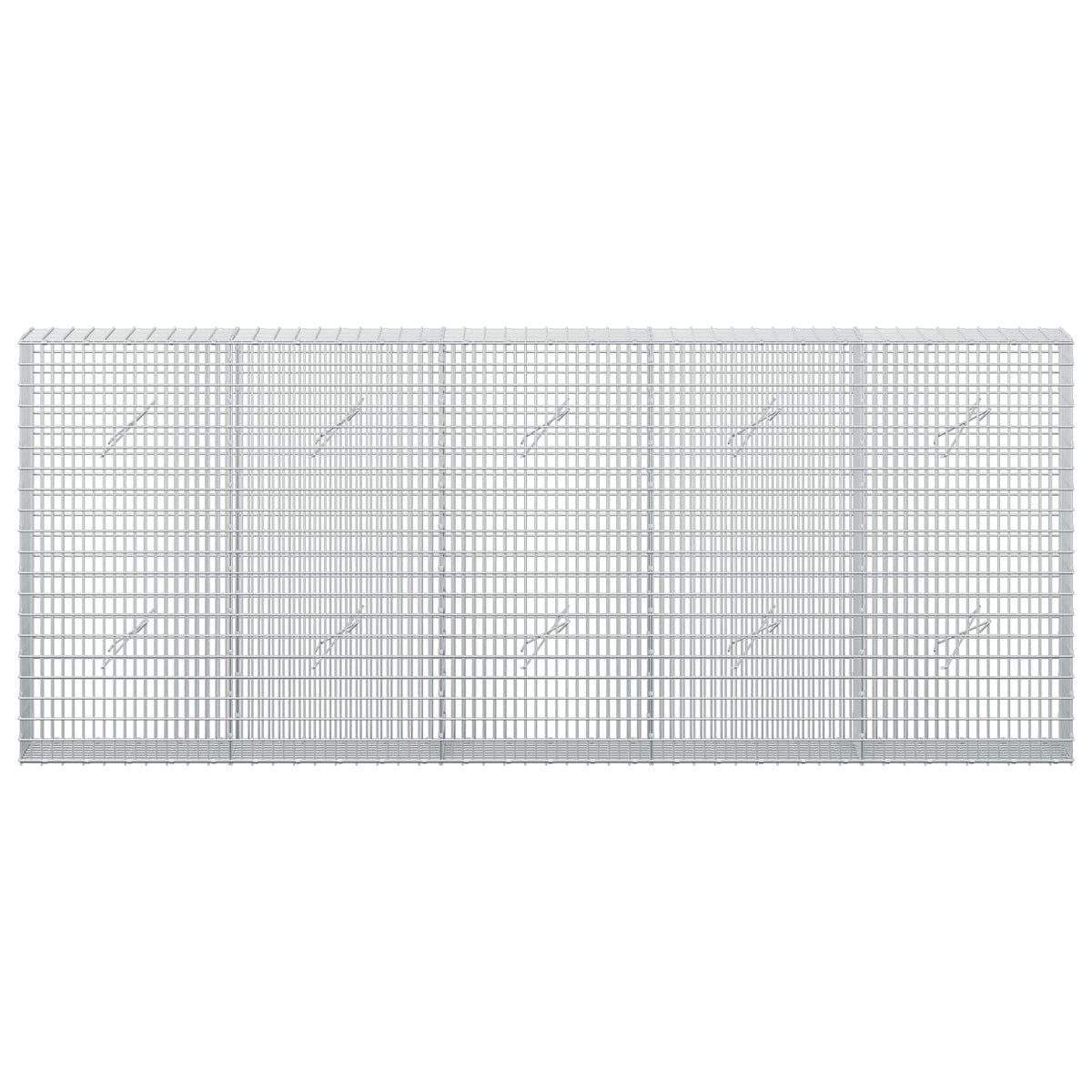 Gabion with 5 mm Wire and 5x2.5 cm Mesh 250x20x100 cm