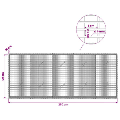 Gabion with 5 mm Wire and 5x2.5 cm Mesh 250x20x100 cm
