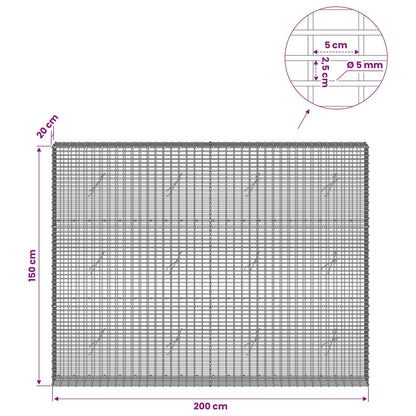 Gabion with 5 mm Wire and 5x2.5 cm Mesh 200x20x150 cm