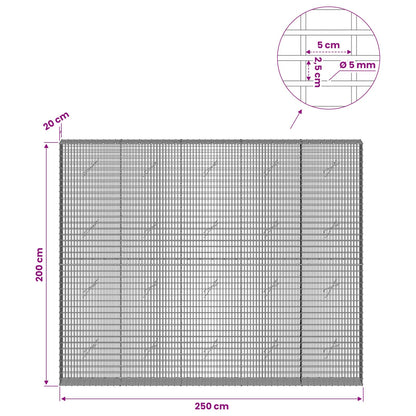 Gabion with 5 mm Wire and 5x2.5 cm Mesh 250x20x200 cm
