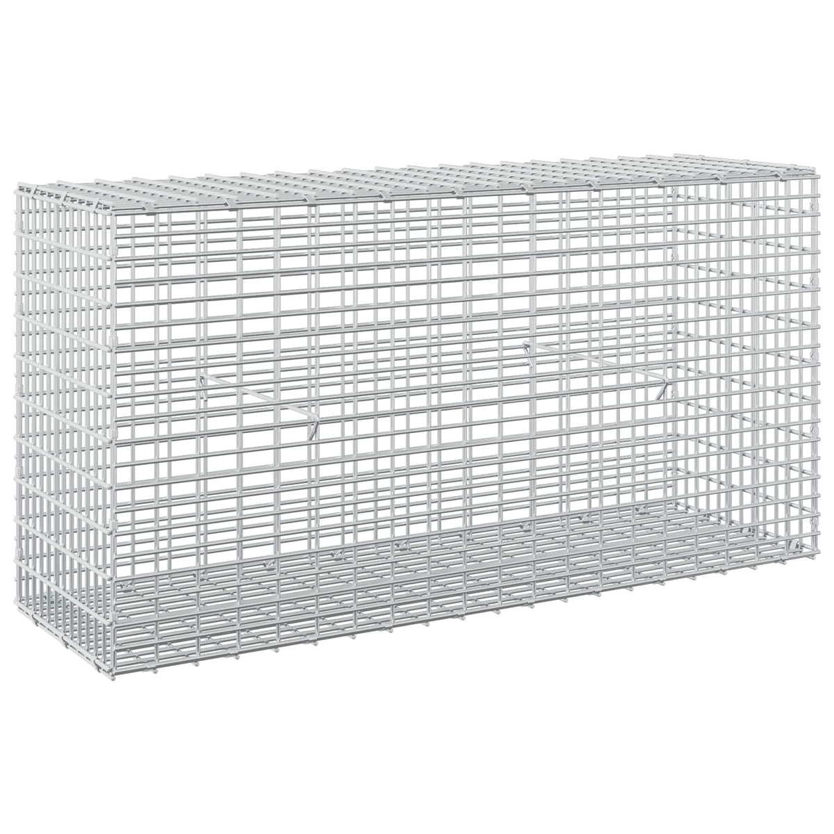 Gabion with 5 mm Wire and 5x2.5 cm Mesh 100x30x50 cm