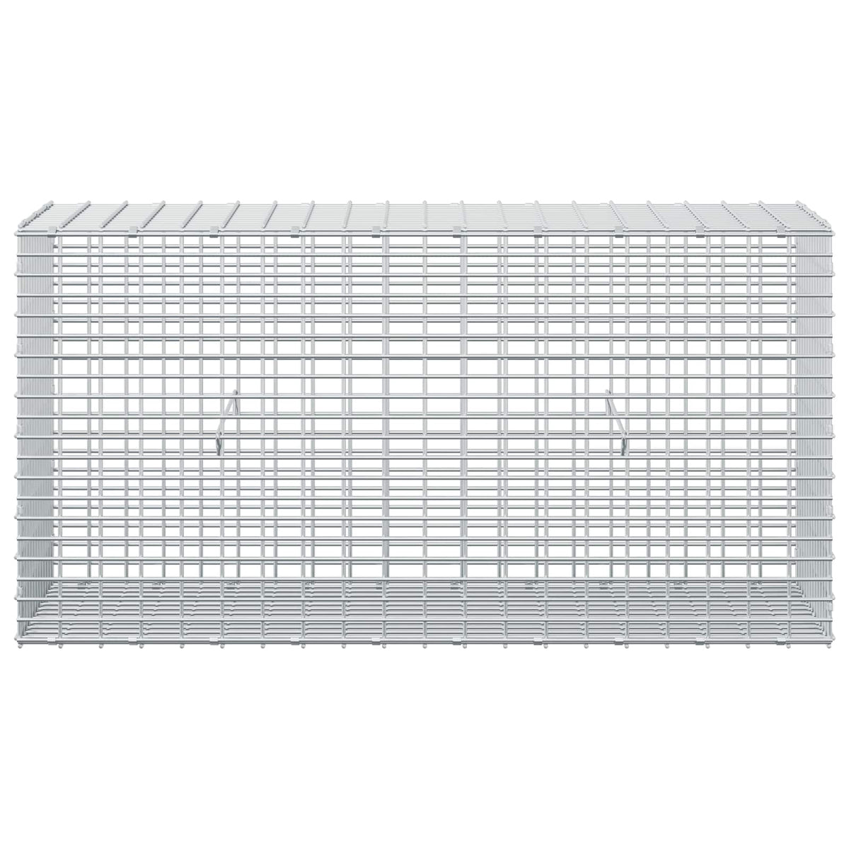 Gabion with 5 mm Wire and 5x2.5 cm Mesh 100x30x50 cm