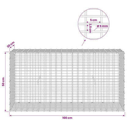 Gabion with 5 mm Wire and 5x2.5 cm Mesh 100x30x50 cm