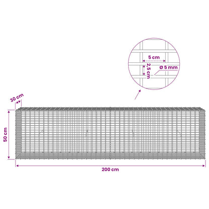 Gabion with 5 mm Wire and 5x2.5 cm Mesh 200x30x50 cm