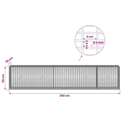 Gabion with 5 mm Wire and 5x2.5 cm Mesh 250x30x50 cm