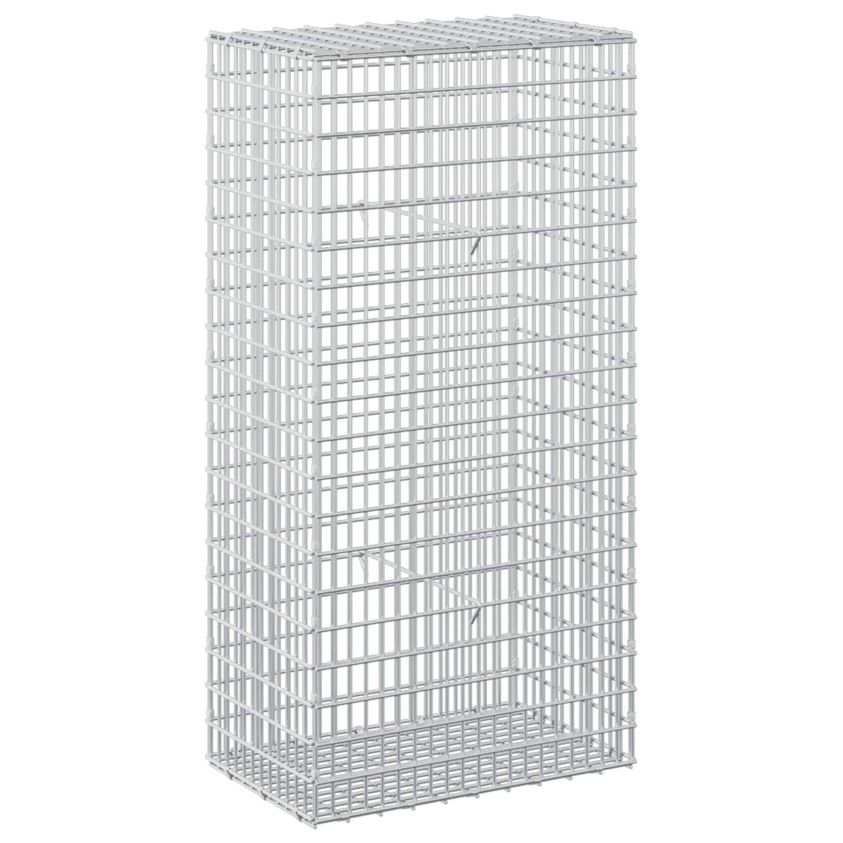 Gabion with 5 mm Wire and 5x2.5 cm Mesh 50x30x100 cm