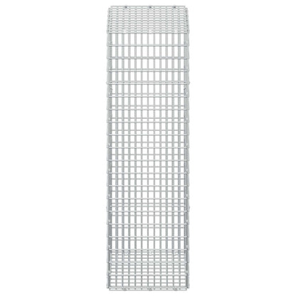 Gabion with 5 mm Wire and 5x2.5 cm Mesh 50x30x100 cm