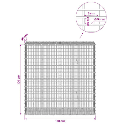 Gabion with 5 mm Wire and 5x2.5 cm Mesh 100x30x100 cm
