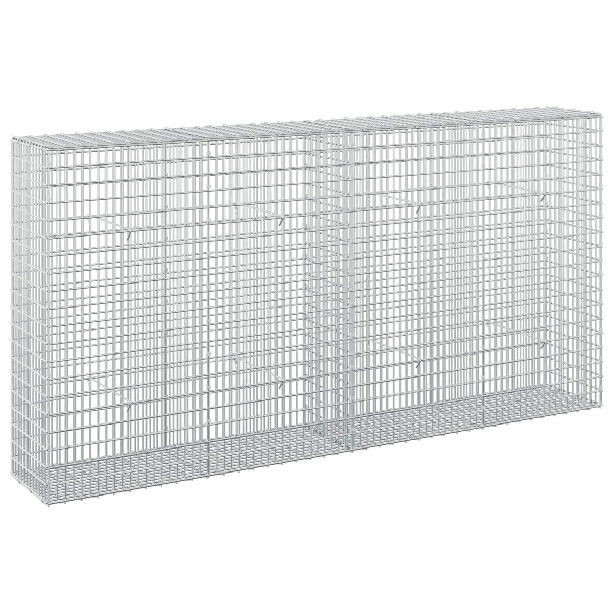 Gabion with 5 mm Wire and 5x2.5 cm Mesh 200x30x100 cm