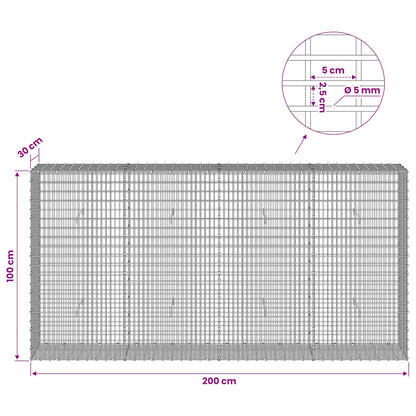 Gabion with 5 mm Wire and 5x2.5 cm Mesh 200x30x100 cm