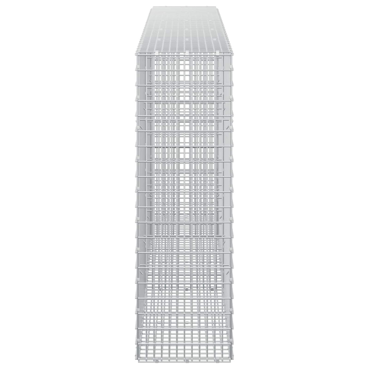 Gabion with 5 mm Wire and 5x2.5 cm Mesh 250x30x100 cm