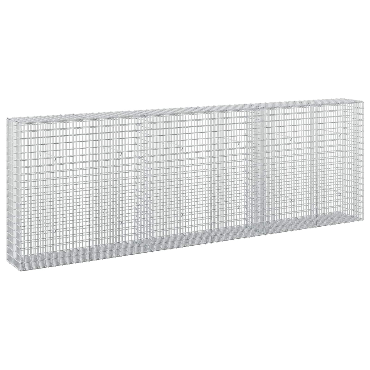 Gabion with 5 mm Wire and 5x2.5 cm Mesh 300x30x100 cm