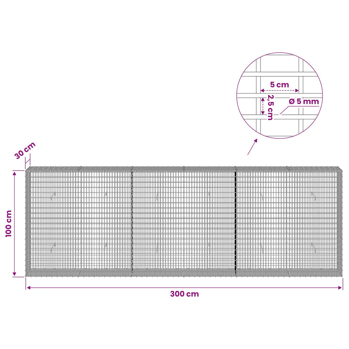 Gabion with 5 mm Wire and 5x2.5 cm Mesh 300x30x100 cm