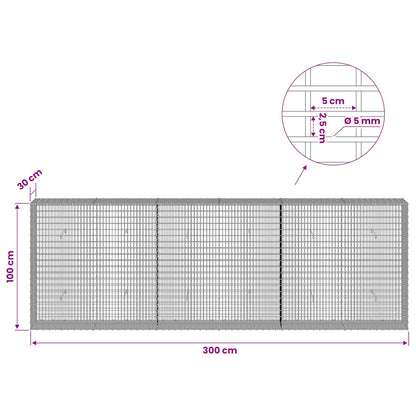 Gabion with 5 mm Wire and 5x2.5 cm Mesh 300x30x100 cm