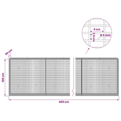 Gabion with 5 mm Wire and 5x2.5 cm Mesh 400x30x100 cm