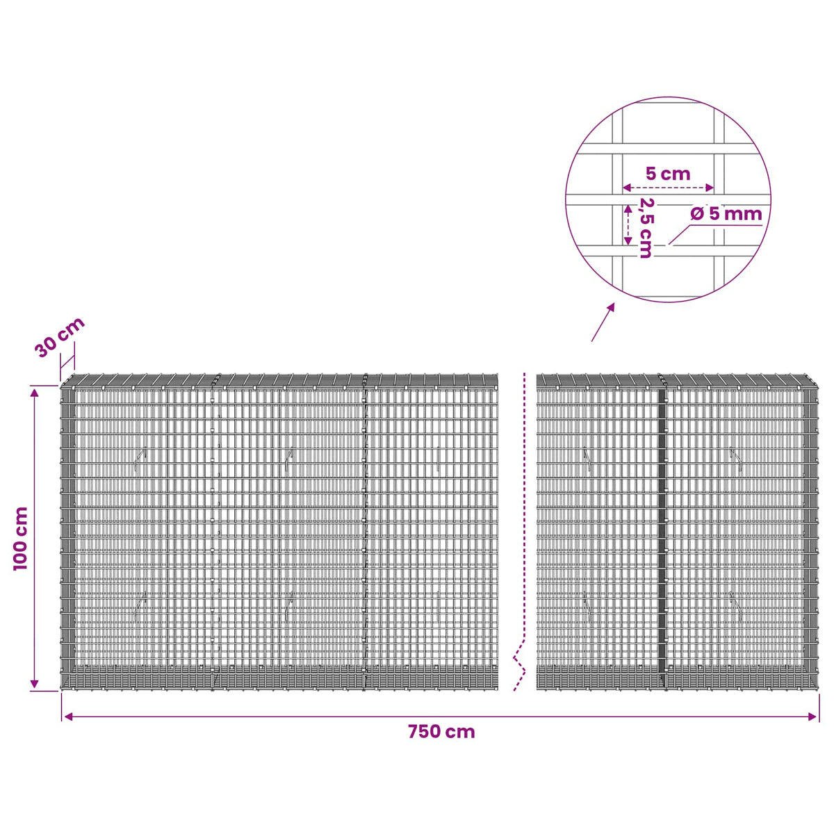 Gabion with 5 mm Wire and 5x2.5 cm Mesh 750x30x100 cm